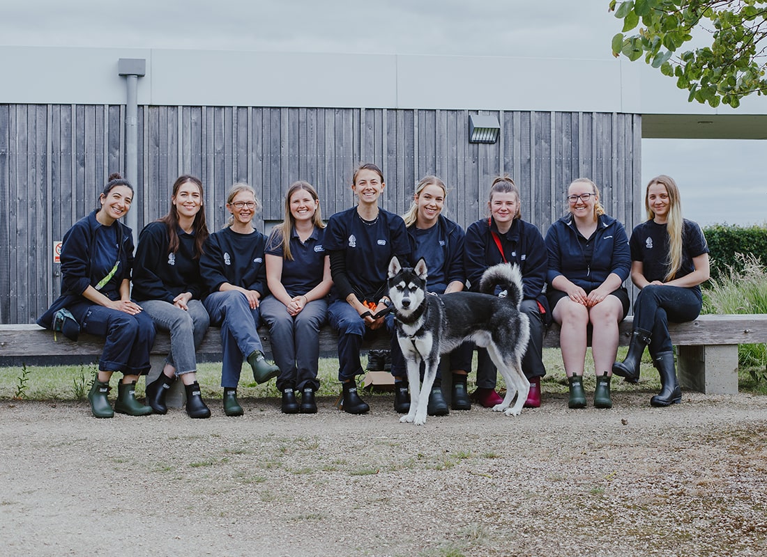 The team at the Cotswolds Dogs and Cats Home sat on a bench with a dog stood in front of them