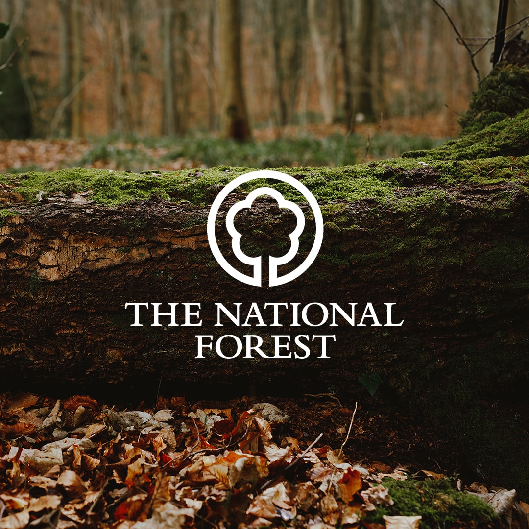 Moss growing on a fallen tree stump in woodland. National Forest Logo