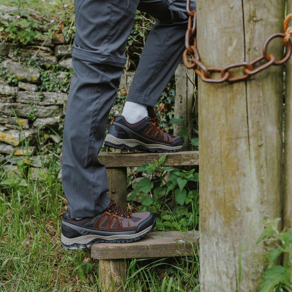 Maisemore Low Hiking Shoes Brown
