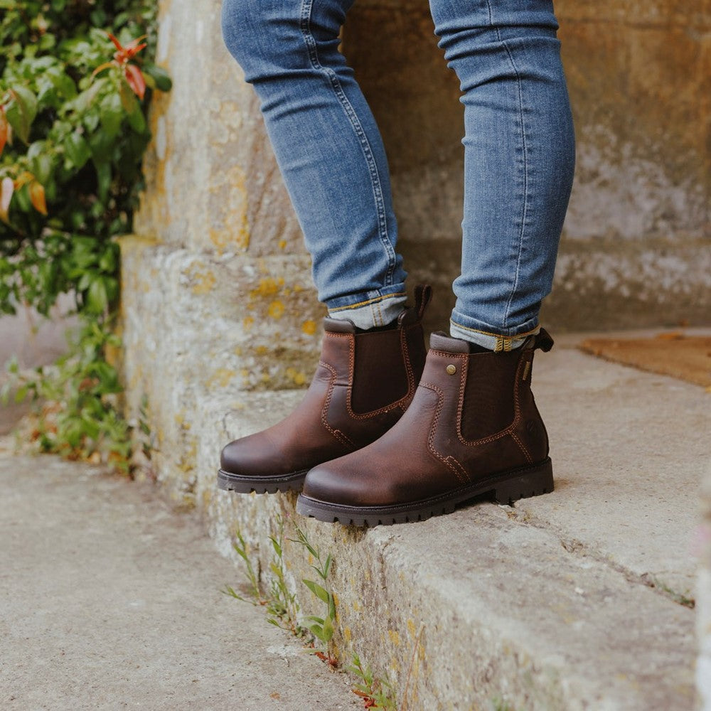 Pamington Ankle Boots Brown