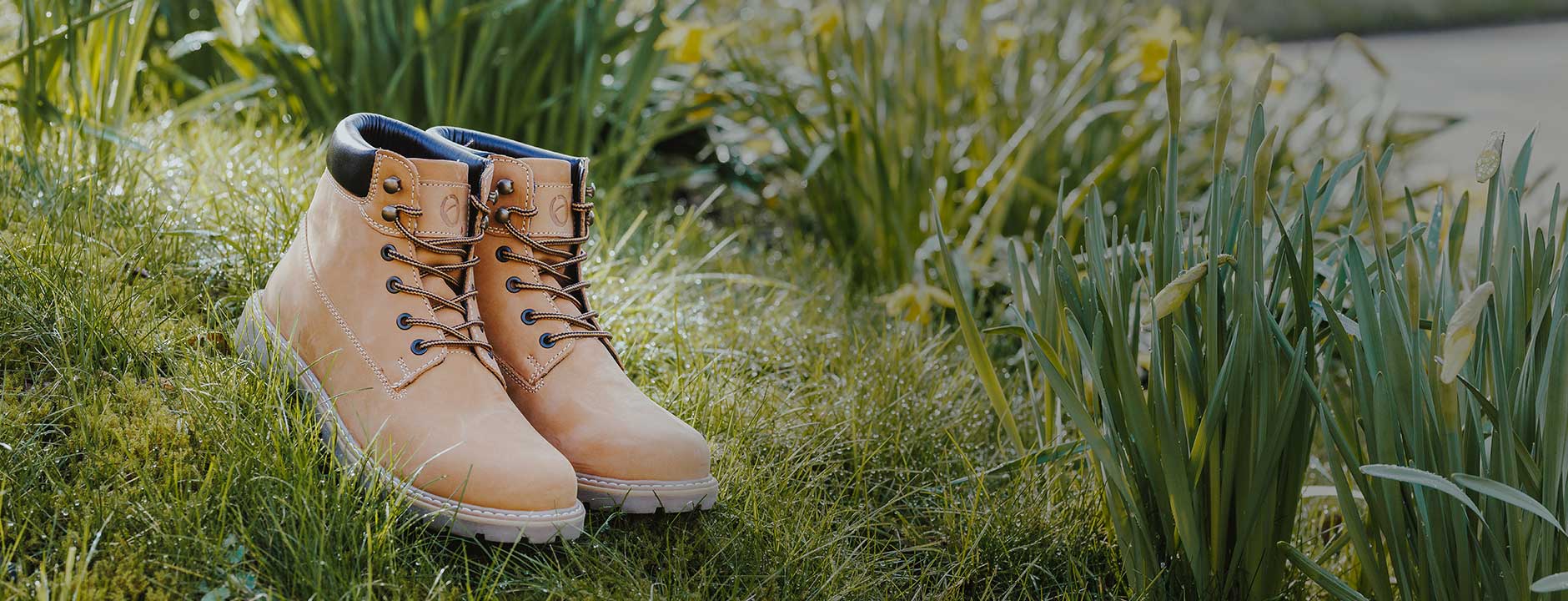 A pair of tan Cotswold Pitchcombe boots on grass with daffodils around the outside