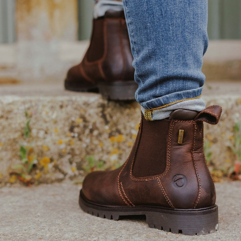 Pamington Ankle Boots Brown